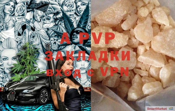индика Баксан
