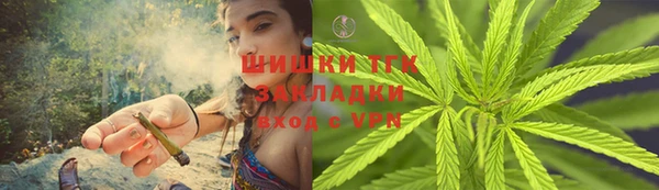индика Баксан