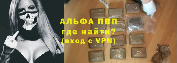 индика Баксан