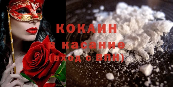 индика Баксан