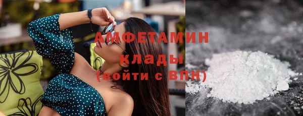 индика Баксан