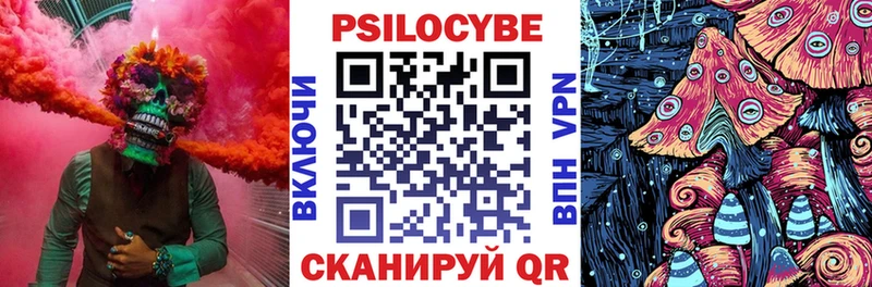 Галлюциногенные грибы Psilocybe  магазин продажи   МЕГА онион  Кыштым 
